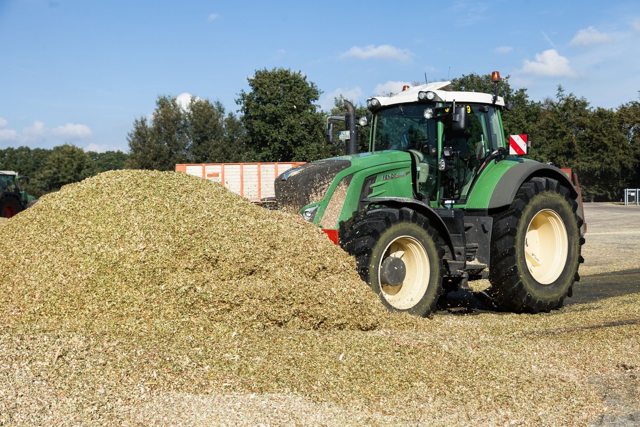 Bild 125 - Maisernte